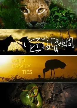 《它们的婚姻》：当爱情遭遇现实，一场关于自由与责任的深刻拷问