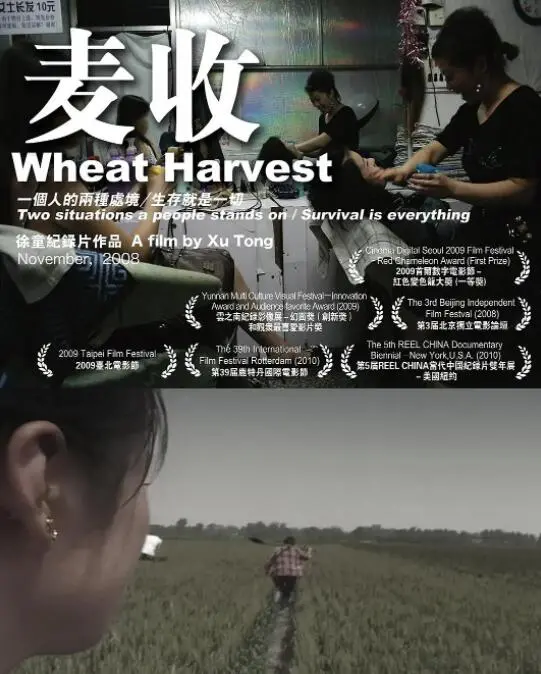 《麦收》：一场关于成长、告别与重生的深刻叙事，揭示了青春期女孩的迷茫与觉醒